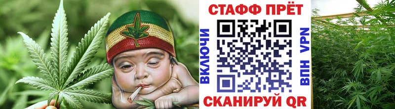 Виды наркоты Ярославль АМФ  Альфа ПВП  ГАШ  Меф  Галлюциногенные грибы  Канабис  Кокаин 