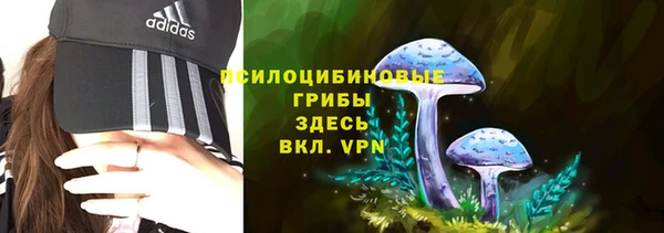 стаф Абдулино