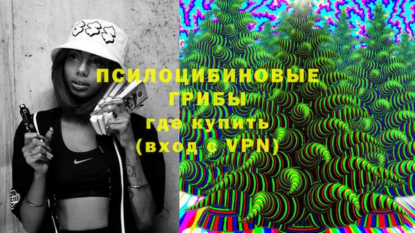 спиды Магас