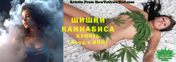 стаф Абдулино