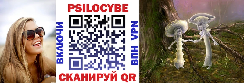 Галлюциногенные грибы Psilocybe  Ярославль 